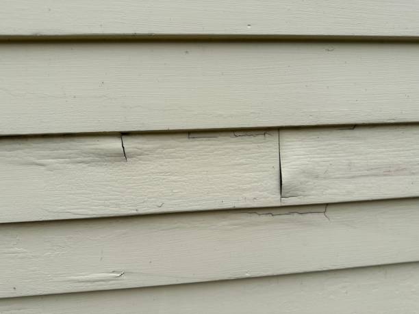 Siding Removal and Disposal in Vashon, WA